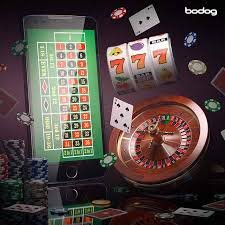 517 app-এর স্পোর্টস ও ক্যাসিনো সেকশন